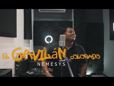 EL GAVILAN COLORADO / Nemesys