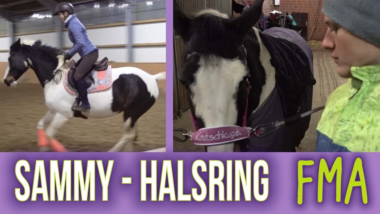 Sammy springen mit Halsring! | FMA TEIL 2/2 | BinieBo