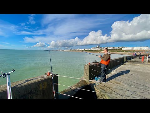 AM I CHEATING ? Brighton Marina West Arm- Sea Fishing in November Sunshine