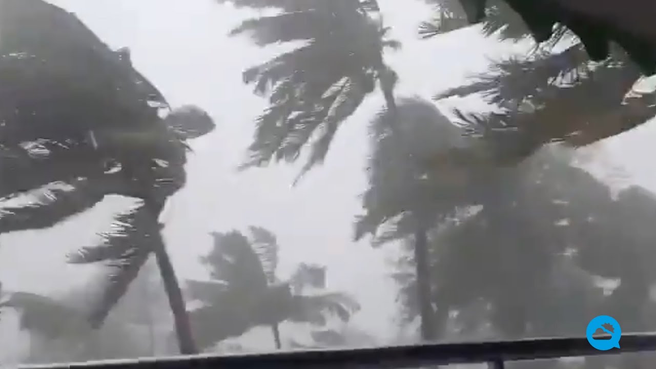 youtube video id=nQis9HfqFoE