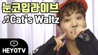 [온앤오프 - ONF] 눈동자에 별이!? 초밀착 눈코입 라이브, Cat's Waltz♪ @해요TV 170822