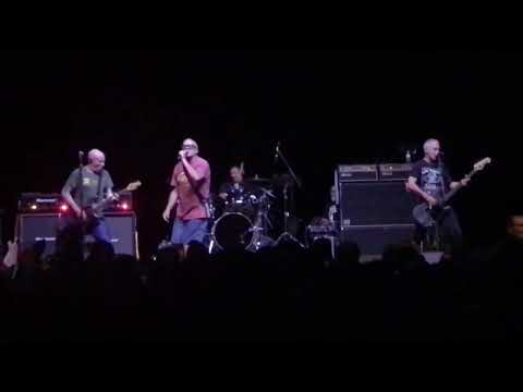 The Decendants - My Dad Sucks (#live @palacetheatre #stpaul) #punkrock #punkshow #80s #punkrockers