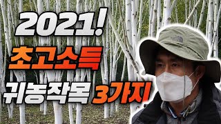 2021 초고소득 귀농작목 3가지 대공개