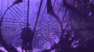 SPACEGHOSTPURRP - Whole Latta Ice | SCREWED ☠ CHOPPED | VIDEO