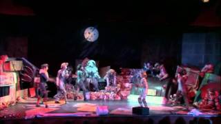 Cats - The Jellicle Ball!