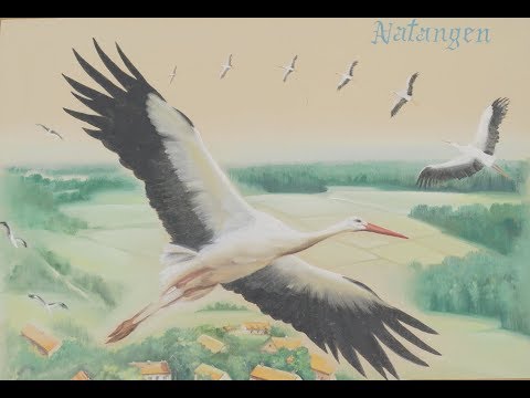 Przepiękne gospodarstwo agroturystyczne "Swojska Chata" w bocianiej wsi - Żywkowo