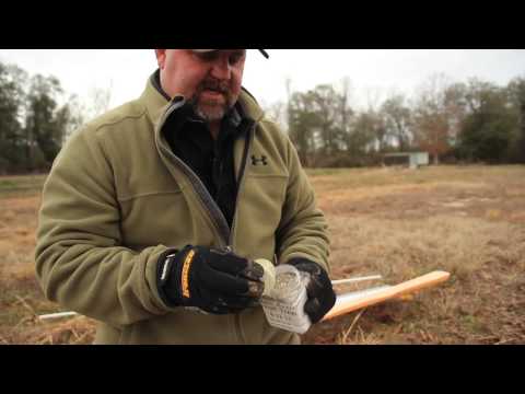How-to Plant Trees for Wildlife and Hunting - The Management Advantage #26