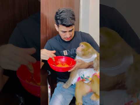 noodles kis ko pasnd hain ?