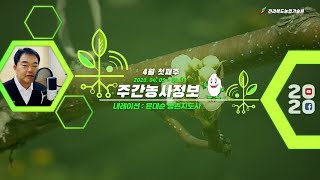 [ 주간농사정보]  4월 첫째주