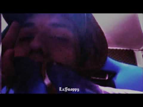 preview~ LINK Z x FLEX Z