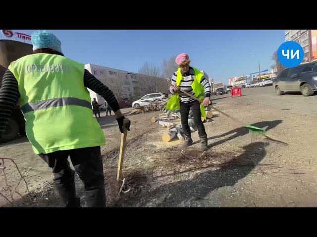 Спил деревьев в 40 комплексе