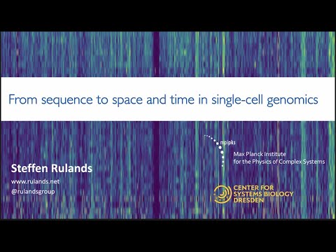 Recent Advances in scEpigenomics 2021 - Steffen Rulands (MPI PKS, Dresden)