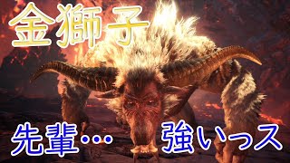 【MHW実況25】追加されたラージャンとたわむれてみた