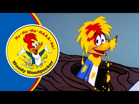 Woody Gets a Pie to the Face! 🥧 | Woody Woodpecker