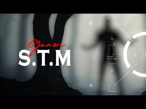 Gnawi - S.T.M | السيستيم Prod. Cee-G ( officiel Clip Lyrics )
