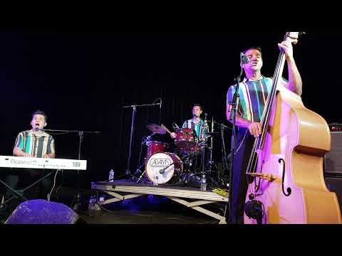 THE NEW TONES / NEWTONES - I Knew From The Start - live at Feel the 50s #8, Venlo 2022