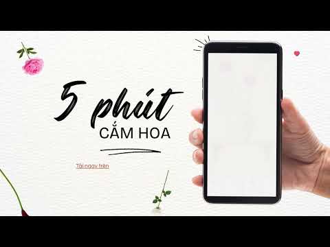 Cắm Hoa 5 Phút video thumbnail