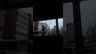 だいすきな秋が来る#日常 #vlog #動画編集者 #quiet #fyp