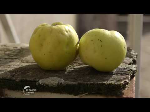 U našem ataru ep. 92 04.02.2018.