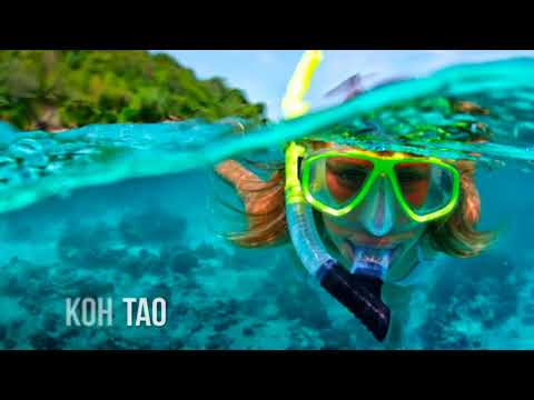 Les meilleures choses à faire, Top Attractions à voir à Samui, Thaïlande  /  Révision / Avitip