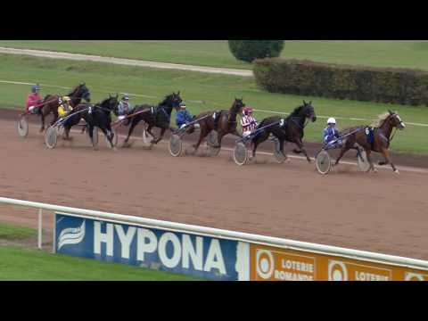 Avenches/26.11.2016/Prix Le Trot