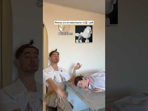 El final🤣@lauretaggz  #humorperros #humorviral #humormascotas #perrosderisa #memesdeperros