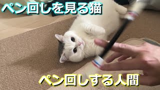 猫とペン回し(フリースタイル練習)