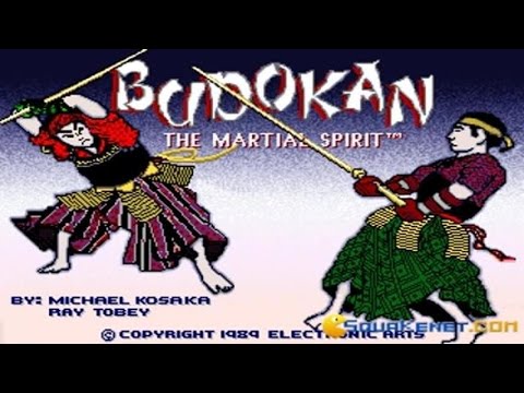 Budokan : The Martial Spirit PC