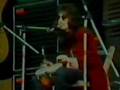 Tyrannosaurus Rex "Debora" 