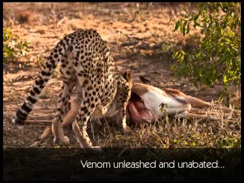 Archna Singh Beauty In The Beast