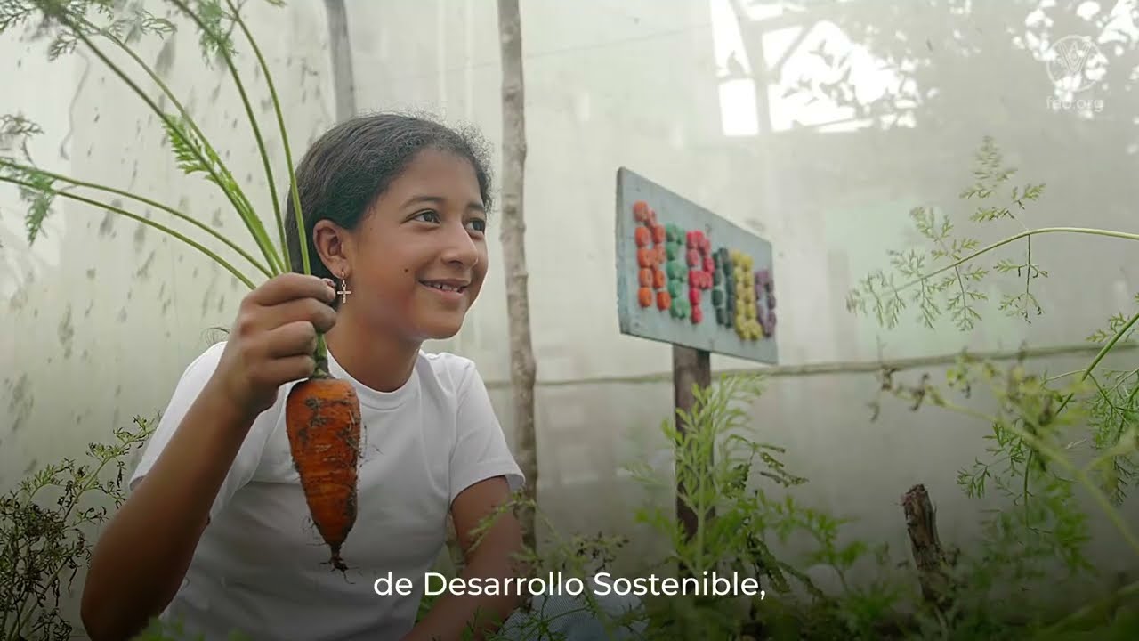 Huertos Escolares Pedagógicos – experiencia: Copán & Lempira