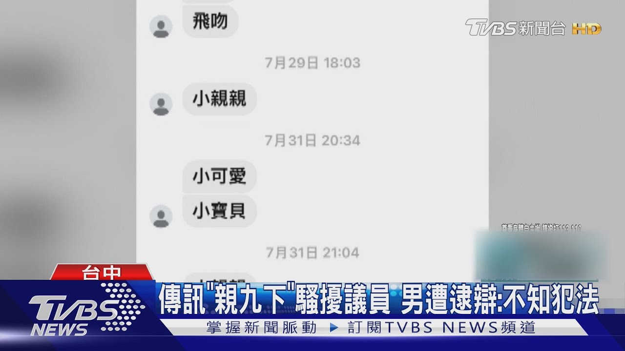 傳訊「親九下」騷擾議員 男遭逮辯:不知犯法
