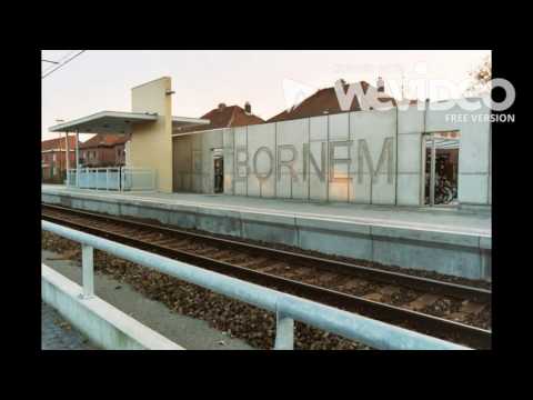 Dendermonde DISS ------- BUCCI