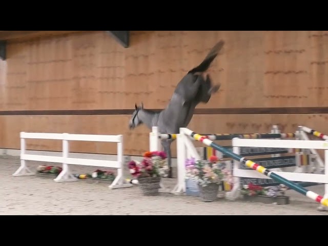 Jumping