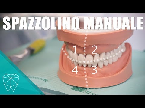 Come utilizzare lo spazzolino manuale - Tutorial