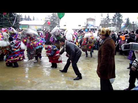 costiceni--calusarii--2011