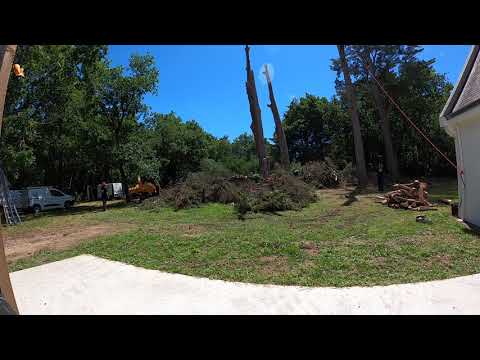 traitement des branches au sol, avec chargeur