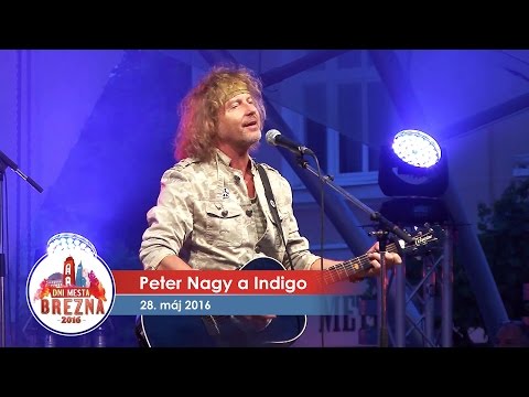 DMB 2016 - Peter Nagy so skupinou Indigo