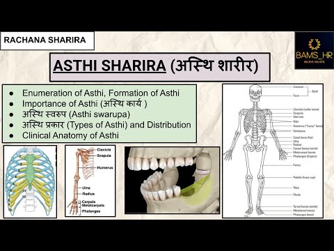 Asthi Shaarira (अस्थि शारीर) | Rachana Sharira | BAMS 1st Professional | BAMS_HR