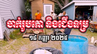 (5) កិច្ចការកសាង ចាក់រូបសំណាកតោ និងជើងទម្រ | វត្តពោធិការាម | Bodhikaram Temple