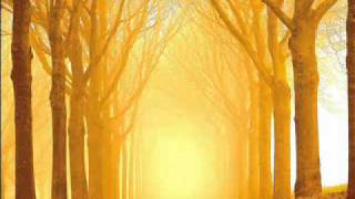 John Foxx - Eternity Sunrise (Cathedral Oceans III)