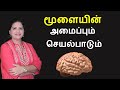 Human Brain Parts And Functions Tamil