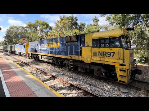 #NR97, #AN7, #G542 & #G526 leads 4MA5 through unley park