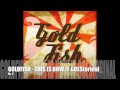 Goldfish - This is how it goes (Album version) - Audio