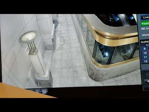 A person taking a shit...