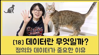 [18] 데이터란 무엇이며, 왜 중요할까요? - 정의와 활용