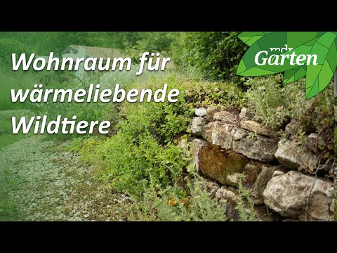 Eine Mauer aus Natursteinen für die Tiere | MDR Garten