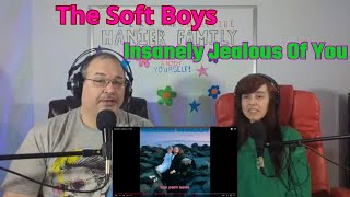 First Time! The Soft Boys - Insanely Jealous Of You Reaction