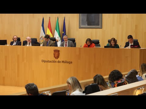 Pleno ordinario de la Diputación del mes de febrero