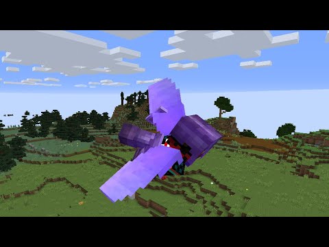 Wie bekomme ich eine Elytra ohne den Enderdrachen zu töten? Naturecraft #6 (Riro)